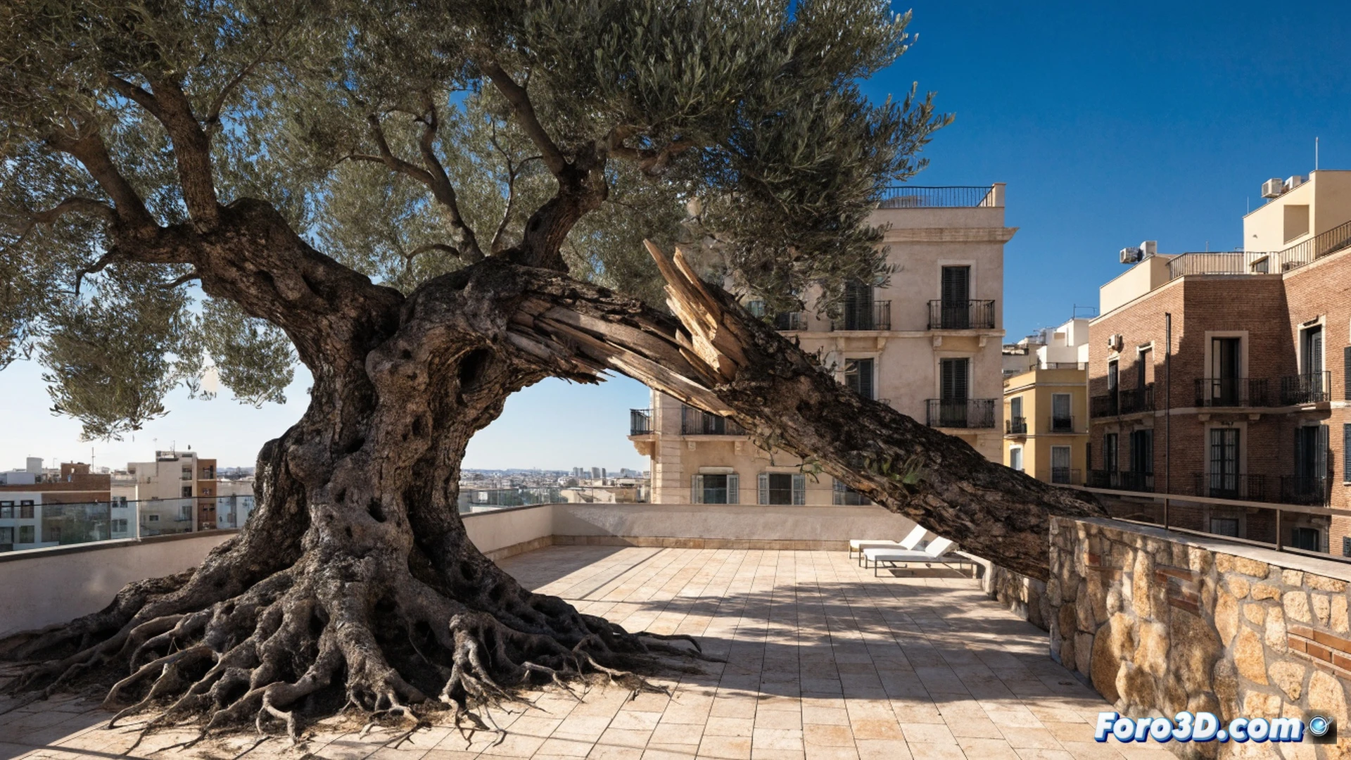 Centenary olive tree in Valencian square, massive cracked branch lying on empty café terrace, exposed splintered wood at break point, workers in safety vests inspecting root system with digital tablet, arborist measuring trunk diameter with caliper, yellow warning tape around tree base, fallen chairs scattered, dramatic late afternoon sunlight casting long shadows, photorealistic architectural photography, detailed bark texture, technical documentation style, emergency response scene, urban risk assessment visualization