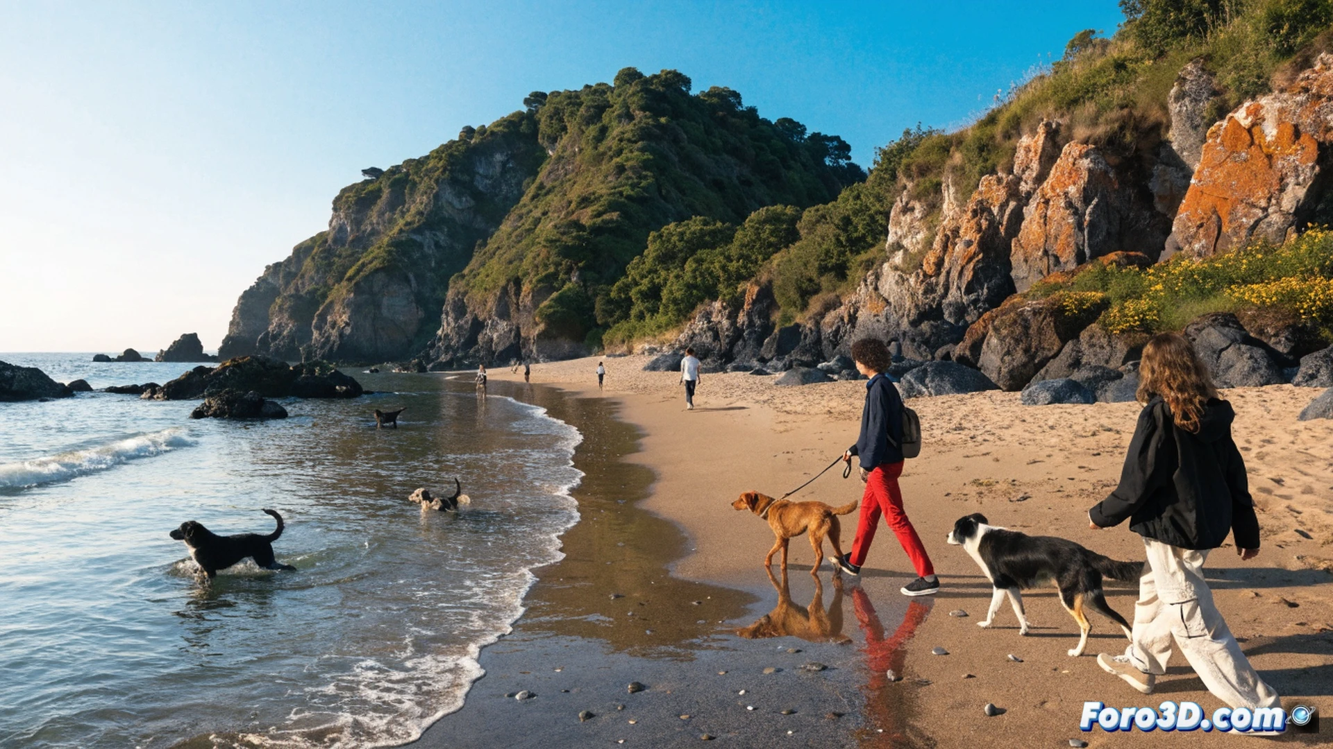 playa urbana al atardecer, un cartel de prohibición de perros oxidado en primer plano, al fondo una familia con un perro saltando alegremente sobre la arena mojada mientras las olas rompen, dueño lanzando un frisbee amarillo, huellas de perro marcadas en la orilla, contraste visual entre la restricción del letrero y la libertad del animal, estilo cinematográfico photorealistic, luz dorada del sol filtrándose entre nubes, reflejos en el agua, textura granulada de la arena, sombras alargadas, cámara baja gran angular, atmósfera de conflicto entre norma y deseo, ultra-detallado