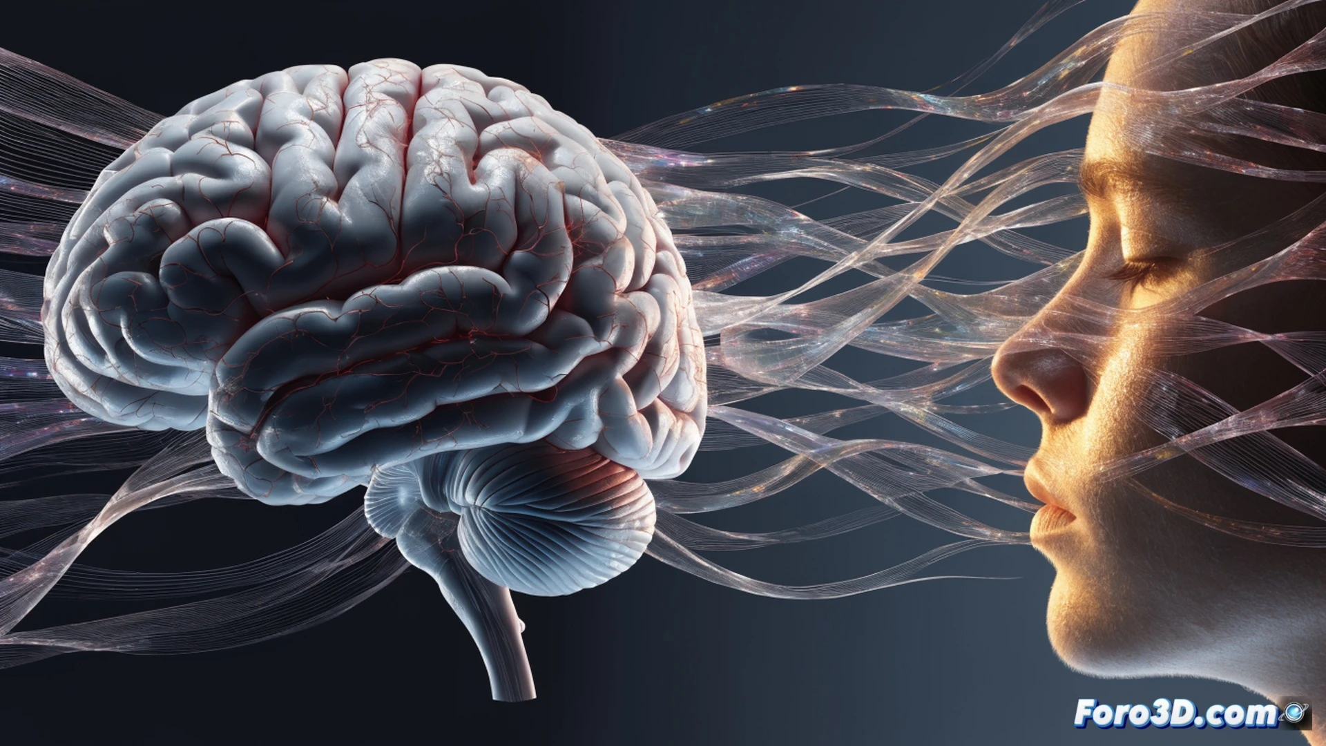 Anatomical cross-section of a human skull and neck, glowing neural pathways in the prefrontal cortex and amygdala activating during slow diaphragmatic breathing, diaphragm contracting downward while rib cage expands, vagus nerve highlighted with luminous blue pulses, calm meditative figure in profile, breath visualized as soft golden particles flowing through nasal passages and lungs, photorealistic medical illustration, cinematic lighting with warm amber tones, intricate neural network connections, scientific accuracy, ultra-detailed biological structures