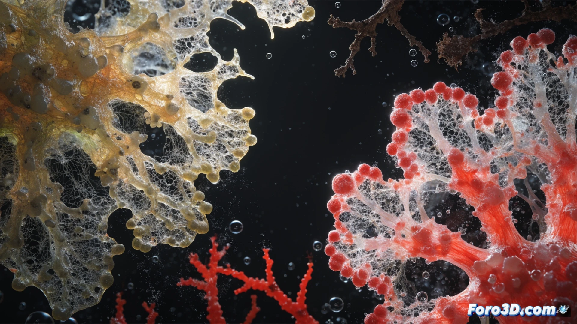 close-up of a dissected scarlet sea cucumber on a sterile lab table, detached tubular feet and tentacles lying in a petri dish with saline solution, bioluminescent cellular activity glowing faintly within the tissue fragments, a microscope with digital display showing live cell metabolism data, pipette dripping nutrient-free solution, scientific instruments in background, cinematic photorealistic technical illustration, dramatic blue-white lab lighting, extreme macro detail, translucent tissue textures, three-year survival timeline implied by dust-free pristine condition