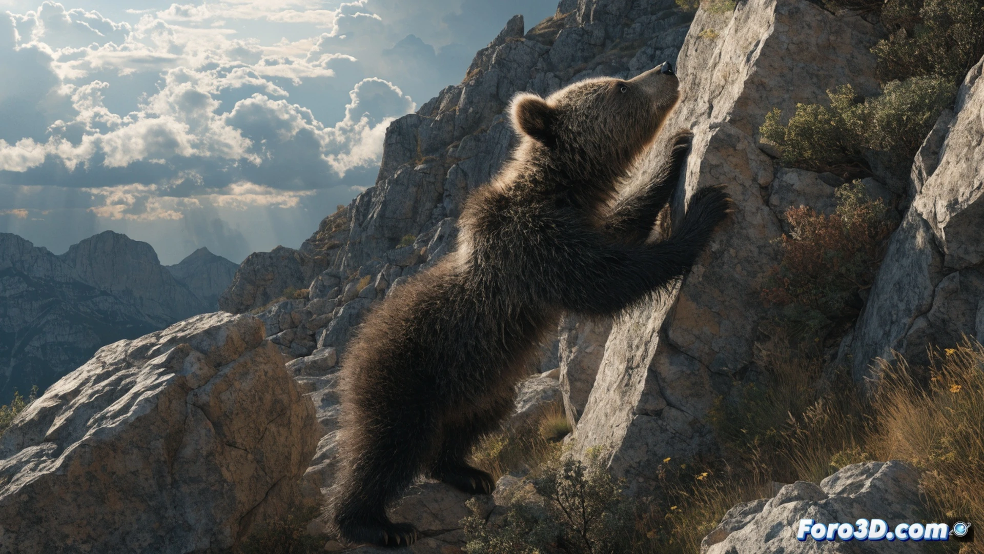 young brown bear standing on rocky Pyrenean slope at golden hour, paw reaching toward wild berry bush while scanning forest edge, no mother visible in frame, distant snow-capped peaks in background, photorealistic wildlife documentary style, warm sunlight casting long shadows across moss-covered boulders, fur texture detailed with morning dew droplets, shallow depth of field emphasizing solitary bear against expansive landscape, cinematic composition, 8k ultra-detailed nature render