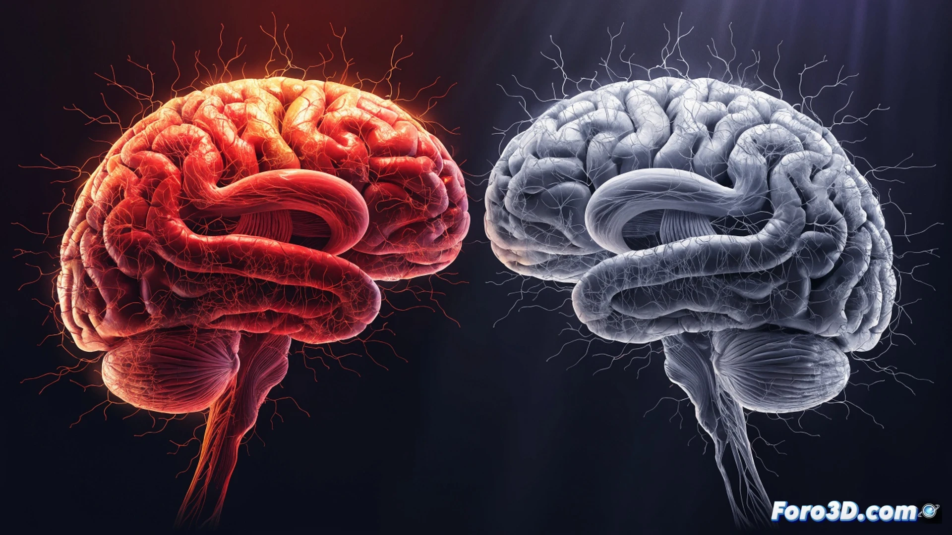 fotografía realista de una persona de 30 años sosteniendo una tarjeta de crédito frente a un monitor financiero, mostrando el proceso de calcular gastos mensuales mientras un escáner cerebral 3D flota sobre su cabeza, con zonas del lóbulo frontal iluminándose gradualmente en colores azul y naranja, cables de electrodos conectados a un casco de neuroimagen, gráficos de ondas cerebrales en pantalla, fondo de oficina minimalista con luz natural de ventana, estilo cinematográfico documental, textura de piel detallada, reflejos en el monitor, profundidad de campo suave, iluminación limpia y profesional