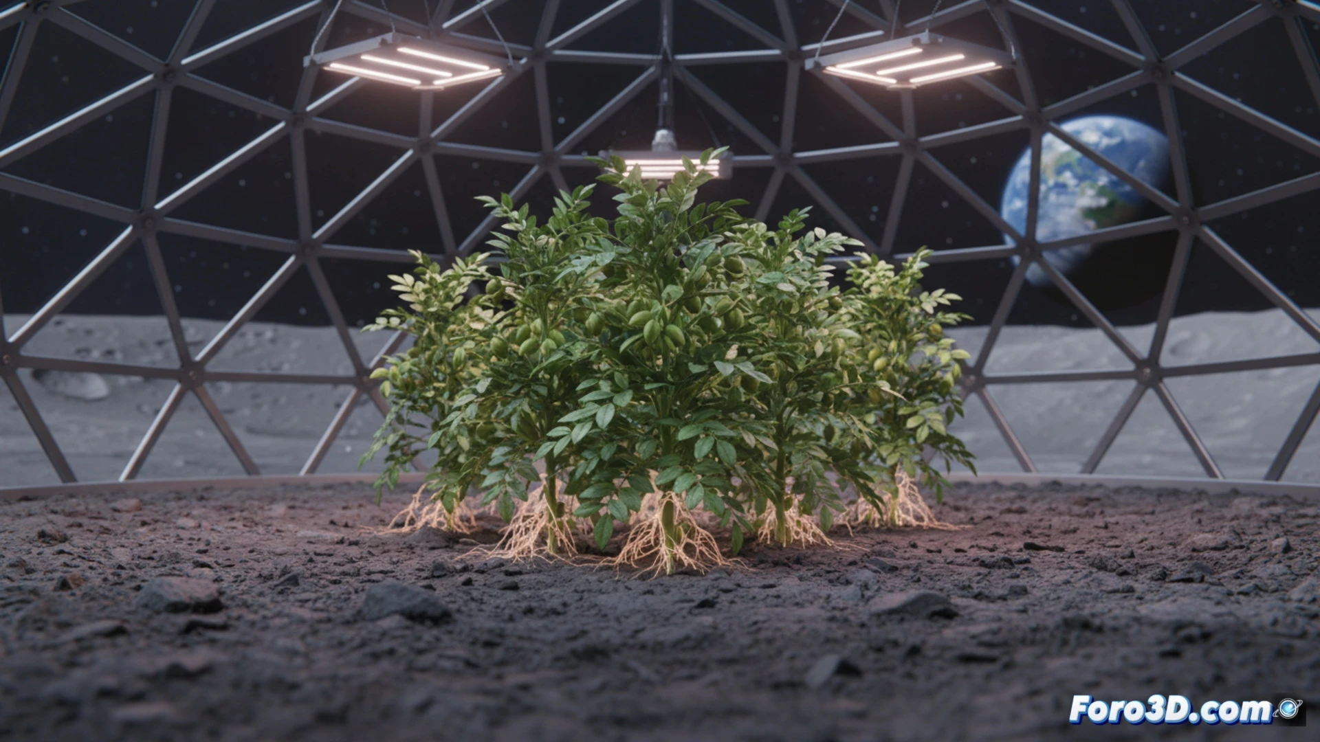 Garbanzos en suelo lunar: visualizando el futuro de la agricultura espacial