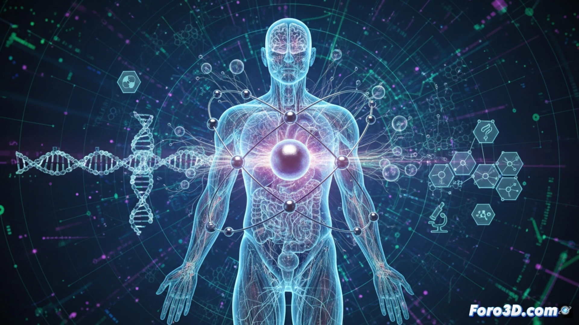 Modelo 3D de la distribución del magnesio en el cuerpo humano, mostrando su concentración en huesos, músculos y tejidos nerviosos.