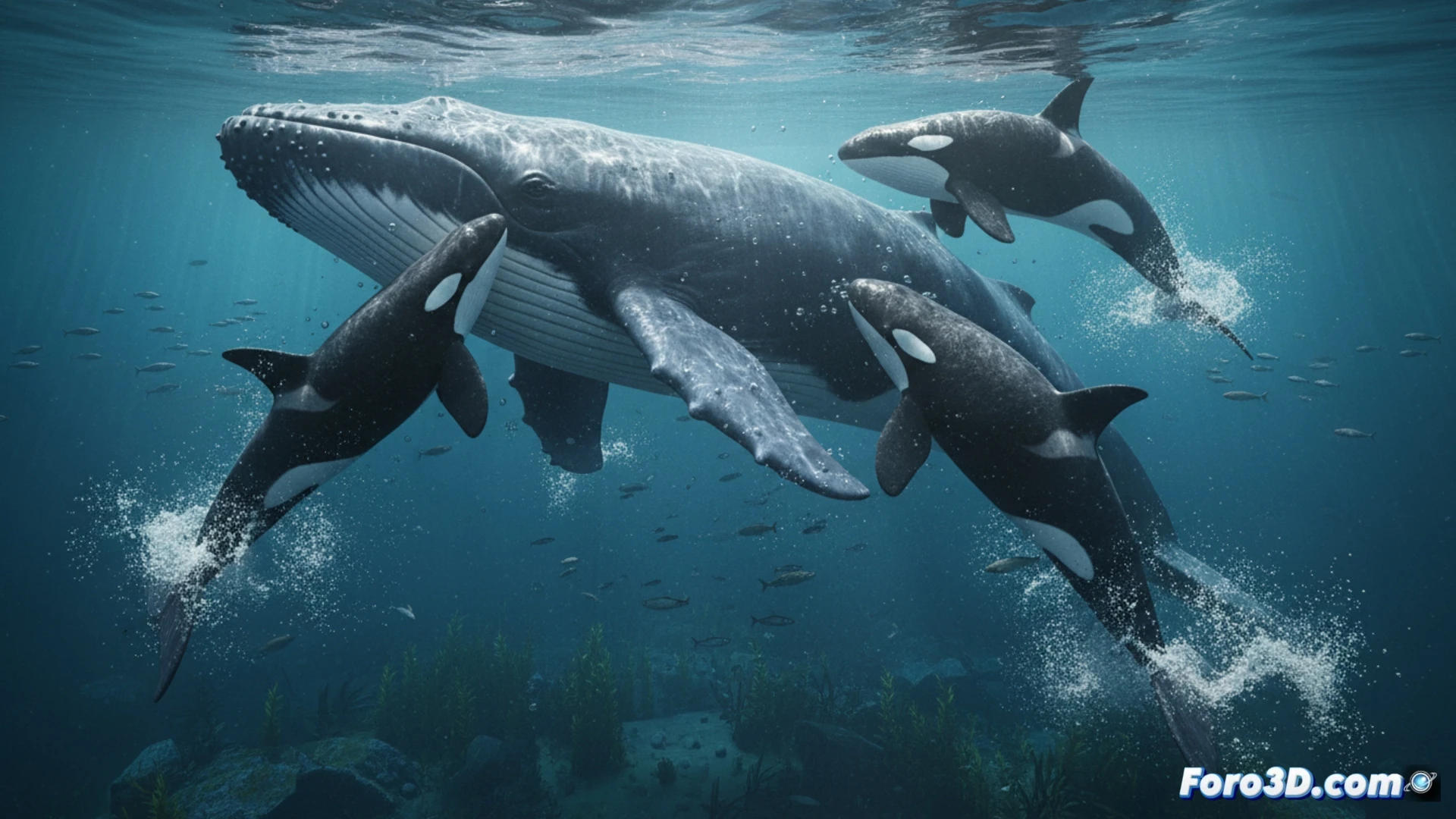 Orcas vs Ballena Azul: Modelado 3D de un Ataque Histórico
