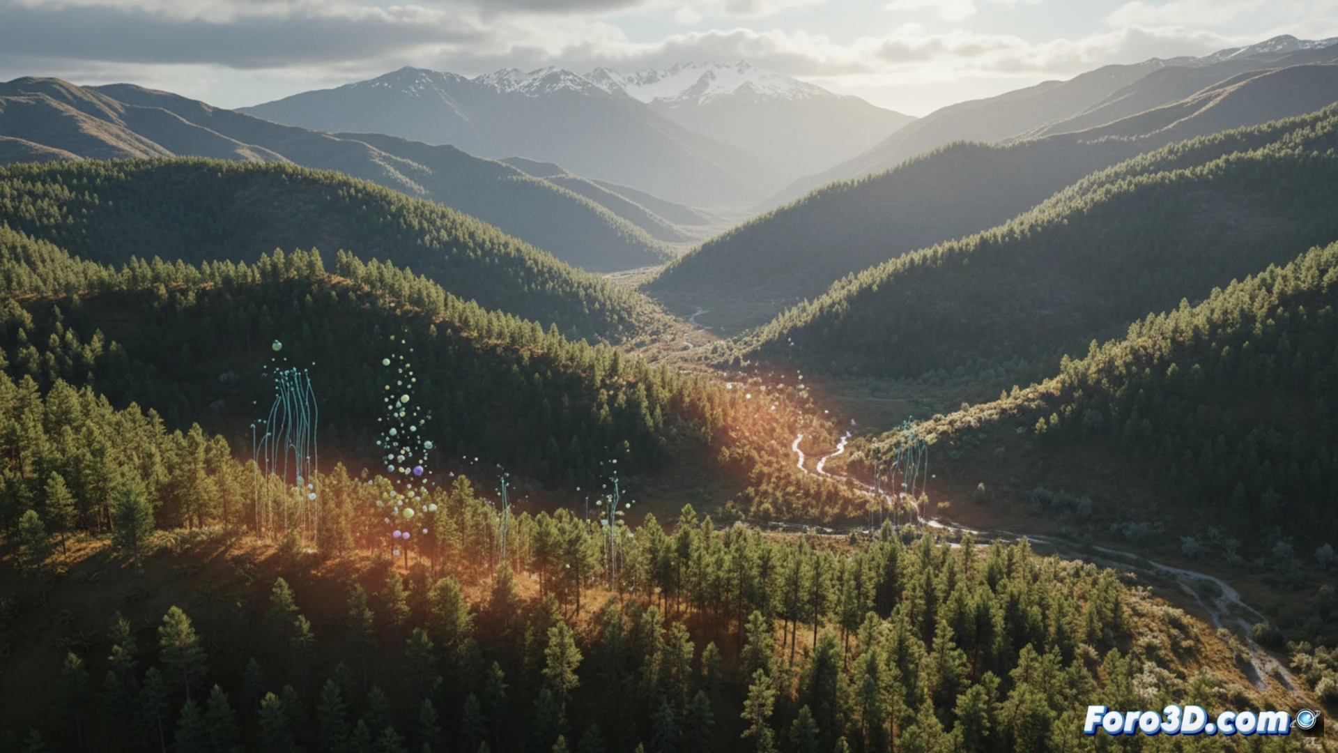 Visualizando la invasión de coníferas en Nueva Zelanda