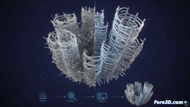 Modelado 3D de la esponja Farrea: del microCT al encaje de sílice
