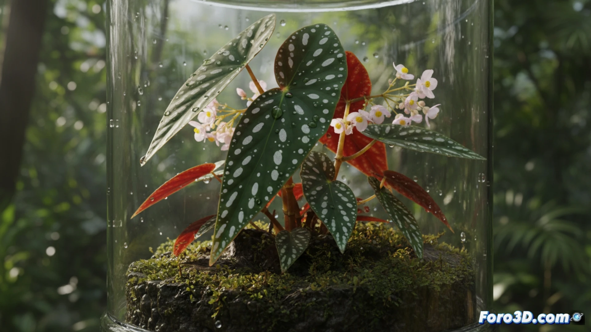 Begonia albopunctata modelado 3D botánico follaje verde oscuro puntos blancos simétricos visualización científica Vietnam 2023