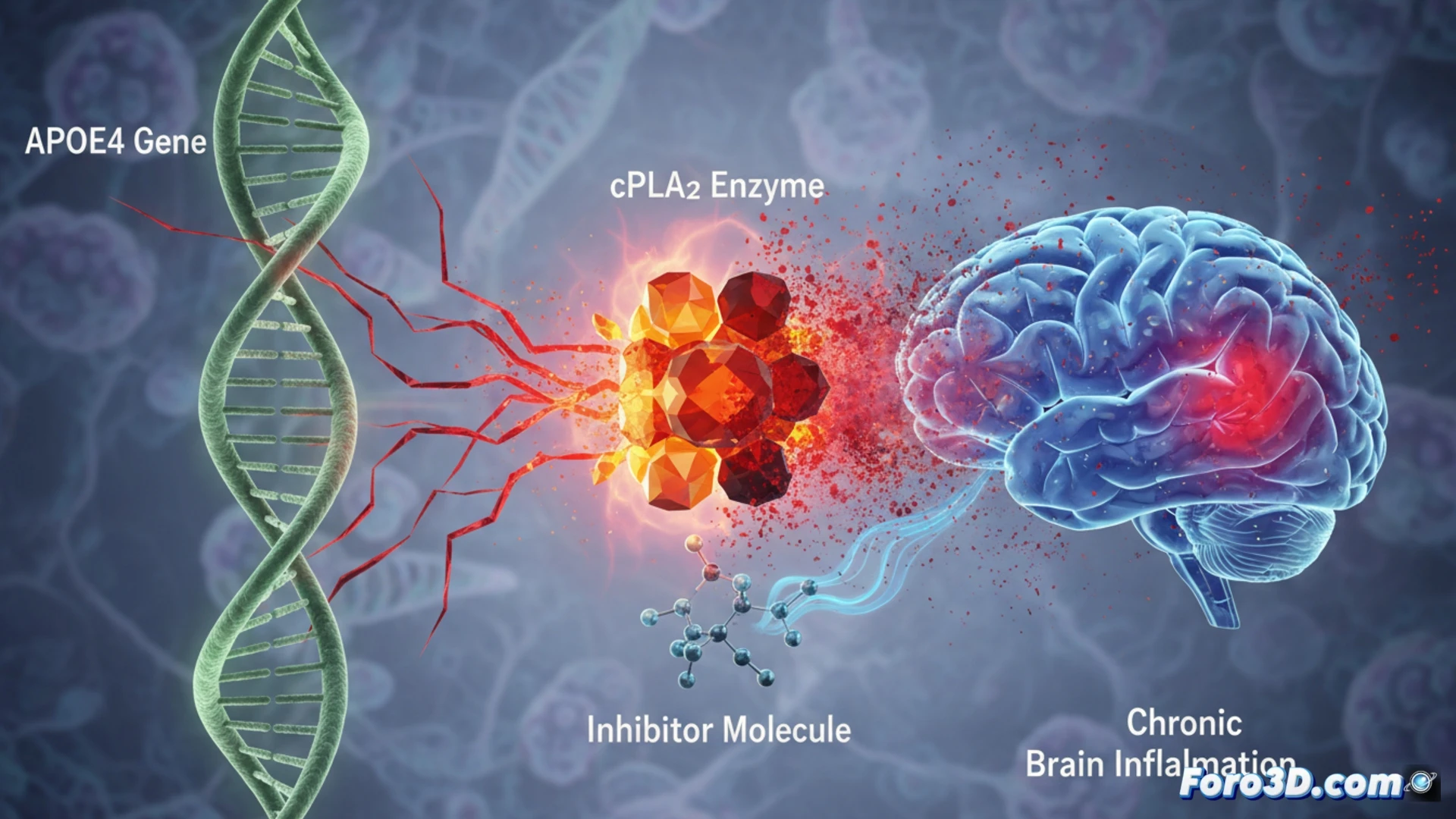 human brain cross-section glowing with inflammation, microglial cells releasing cPLA2 enzyme sparks along neural pathways, APOE4 gene symbolized as a glowing red DNA strand near a neuron, inhibitor molecules attaching to cPLA2 active site to block the enzyme, action of stopping inflammatory cascade, cinematic medical visualization, translucent brain tissue with fiery orange and blue highlights, detailed cellular structures, realistic enzyme inhibition process, photorealistic scientific render, dramatic dark background with focused lighting on the molecular interaction