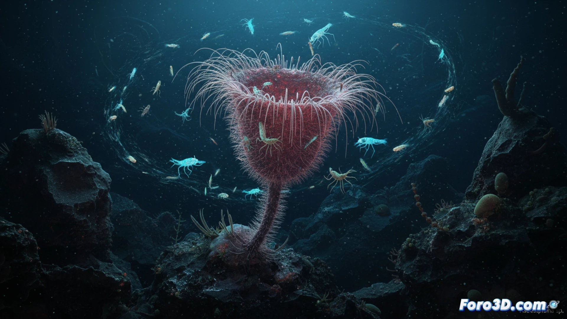 Esponja carnívora Asbestopluma sp. en forma de copa, modelado 3D científico de depredador abisal