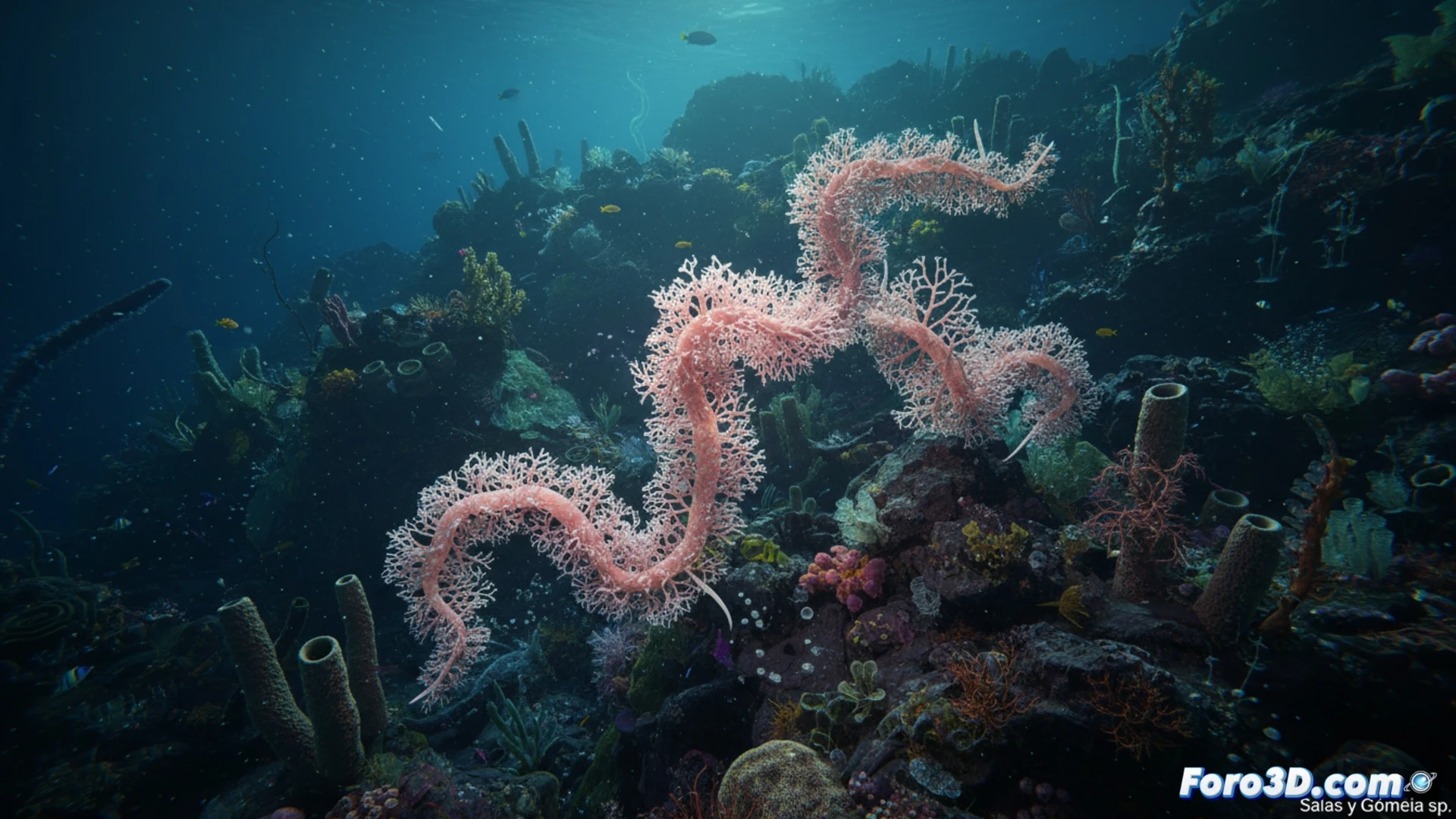 Hidroide de encaje rosa Solanderia sp. en roca volcánica, modelo 3D de estructura reticular y ecosistema marino