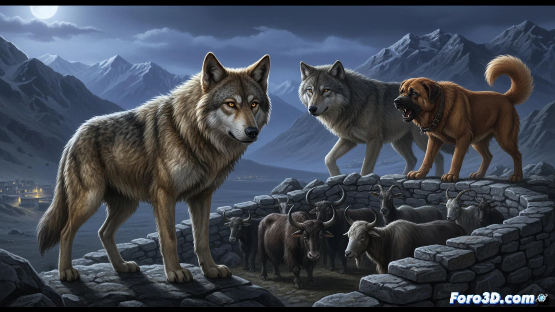 Un híbrido de lobo y perro, el khipshang, acecha entre rocas del Himalaya en Ladakh, con ganado pastando al fondo.