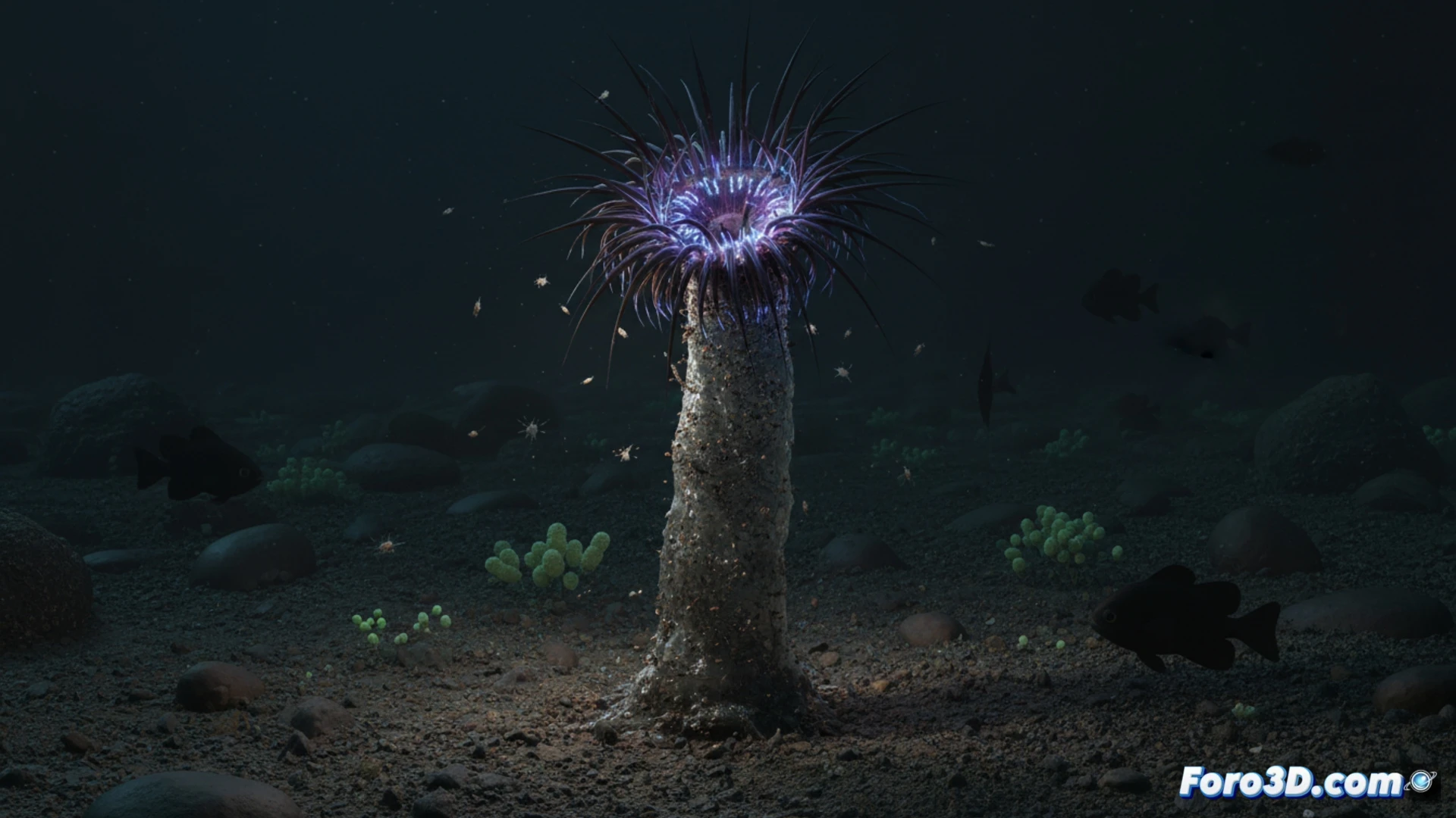 Anémona de tubo abisal de Nueva Zelanda, modelo 3D de Ceriantharia en fondo marino oscuro