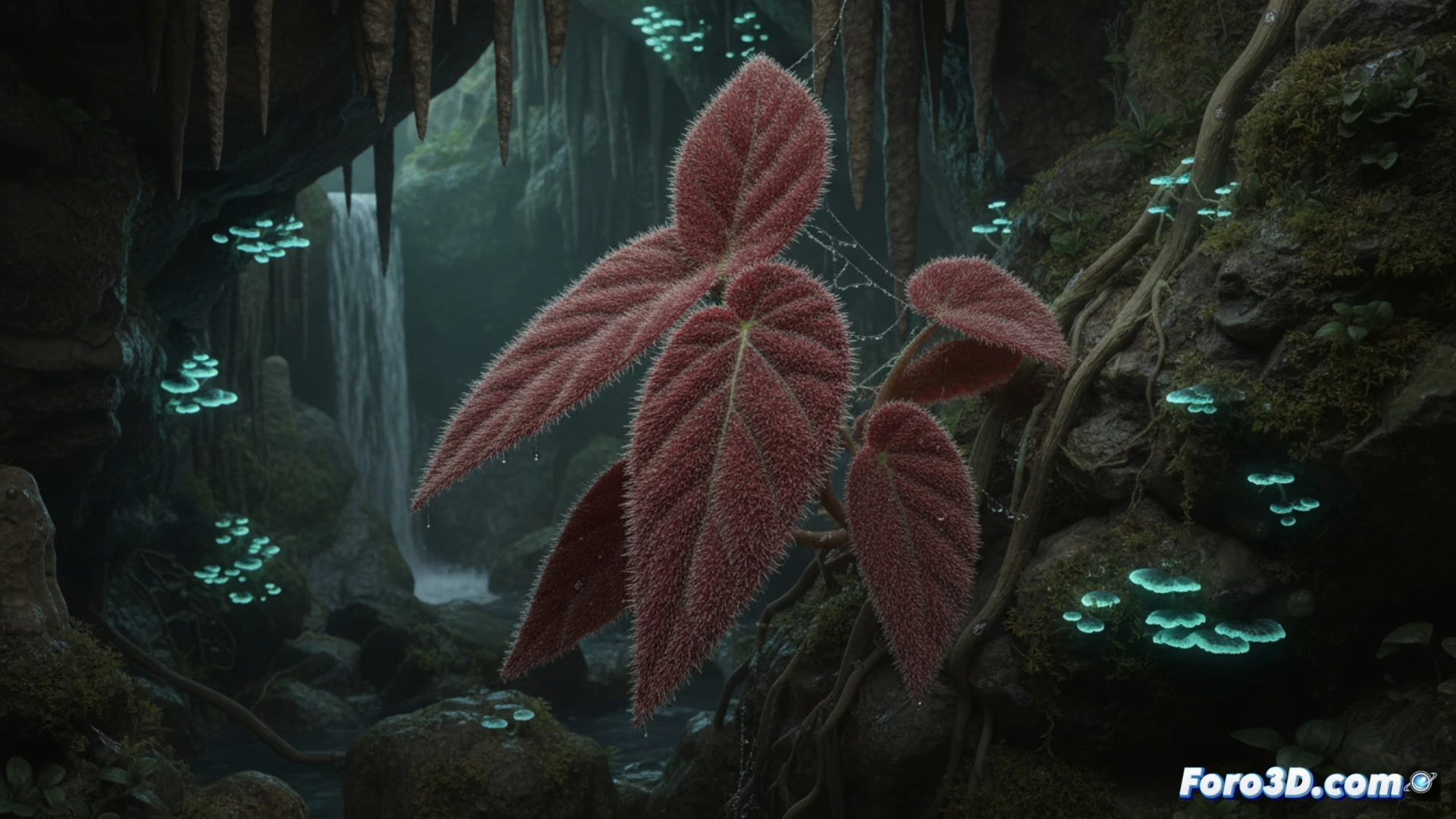 [Begonia de Terciopelo con textura aterciopelada y hojas verdes en modelo 3D para visualización científica botánica]