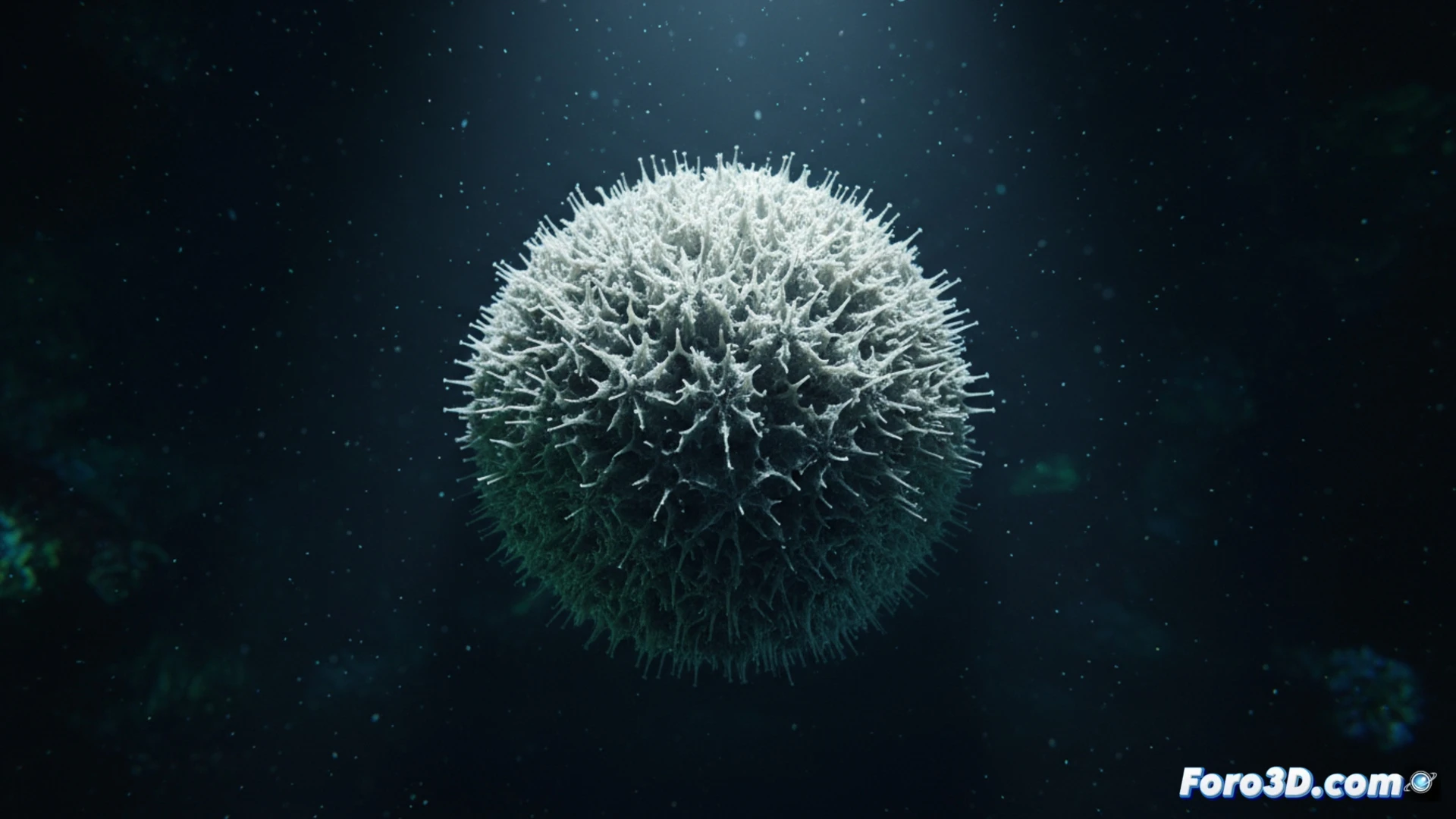 Modelo 3D de la esponja Craniella sp., esfera porosa con textura densa similar a una bola de nieve abisal