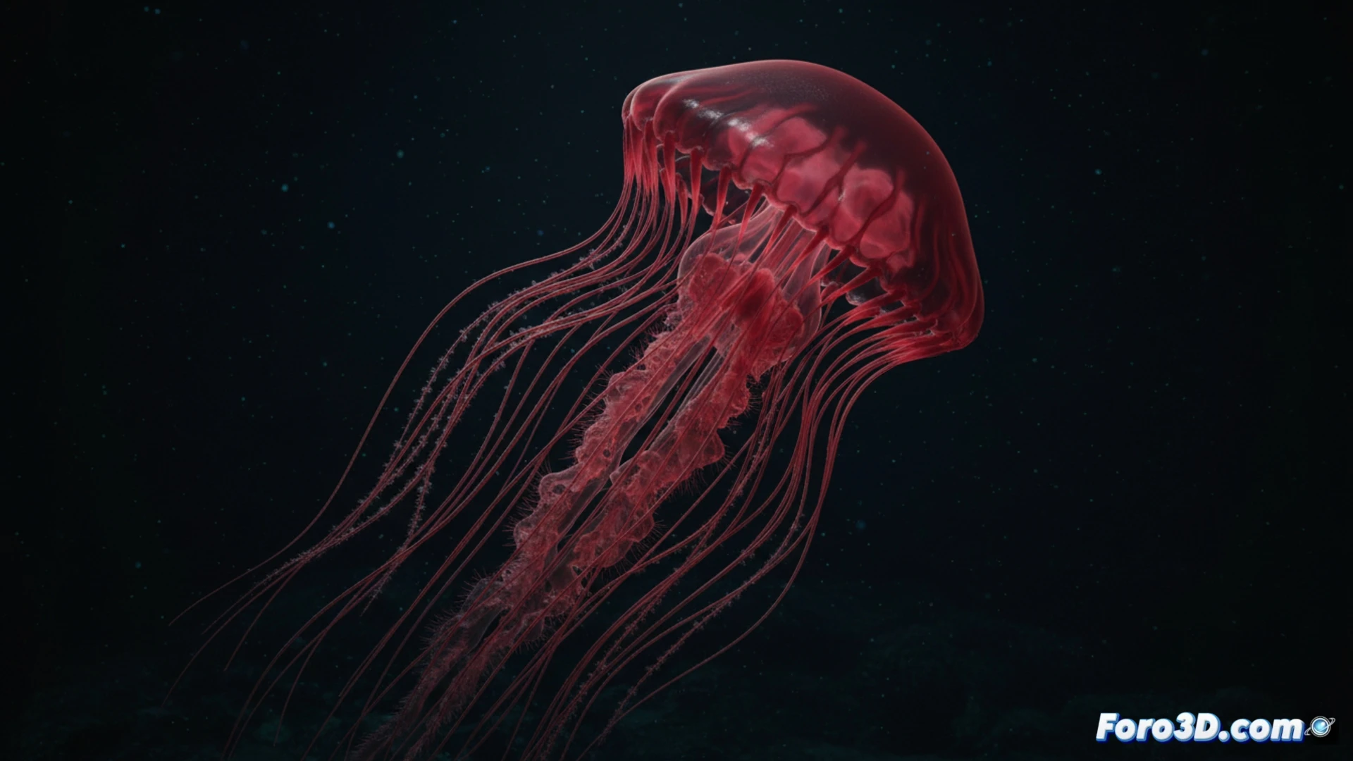 Medusa hadal Benthocodon sp. roja translúcida sobre lecho marino profundo en modelo 3D científico