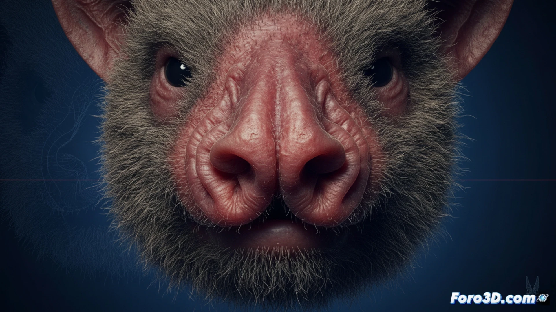 Modélisation 3D du nez de la chauve-souris à face de cochon vietnamienne