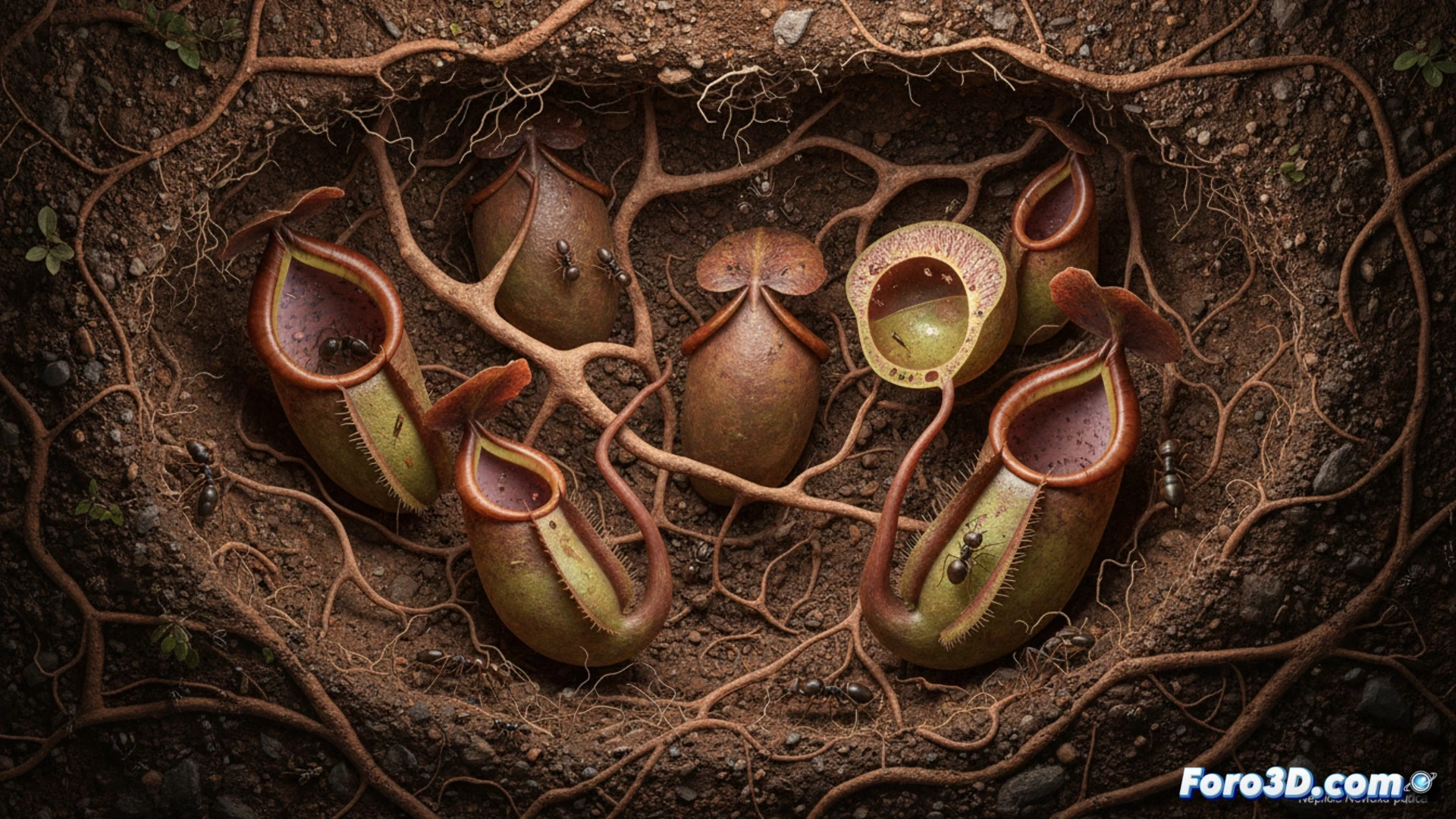 Corte transversal 3D de Nepenthes pudica mostrando jarra subterránea con estructura interna y presas atrapadas en suelo de Borneo
