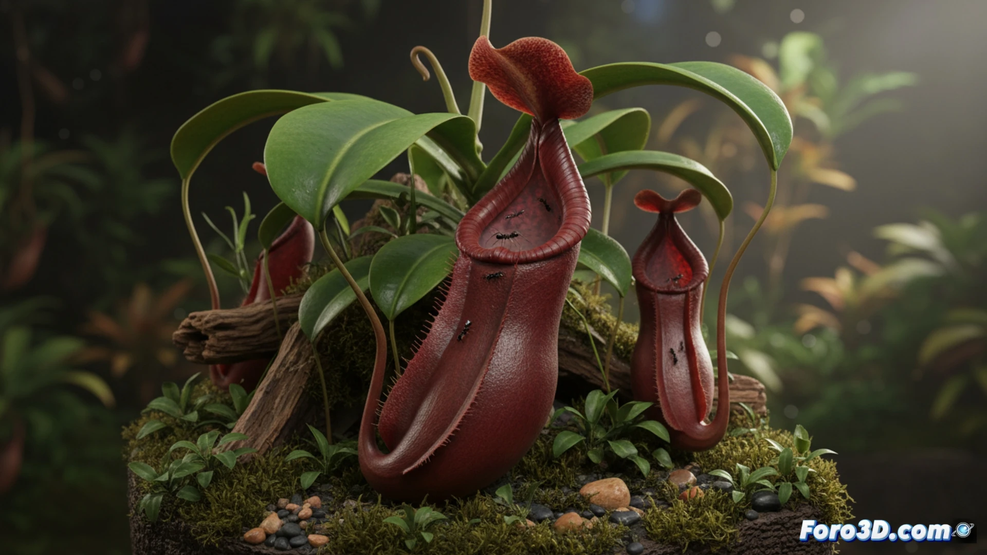 Nepenthes trogon jarro rojo intenso en suelo selva Malasia modelo 3D hiperrealista planta carnívora