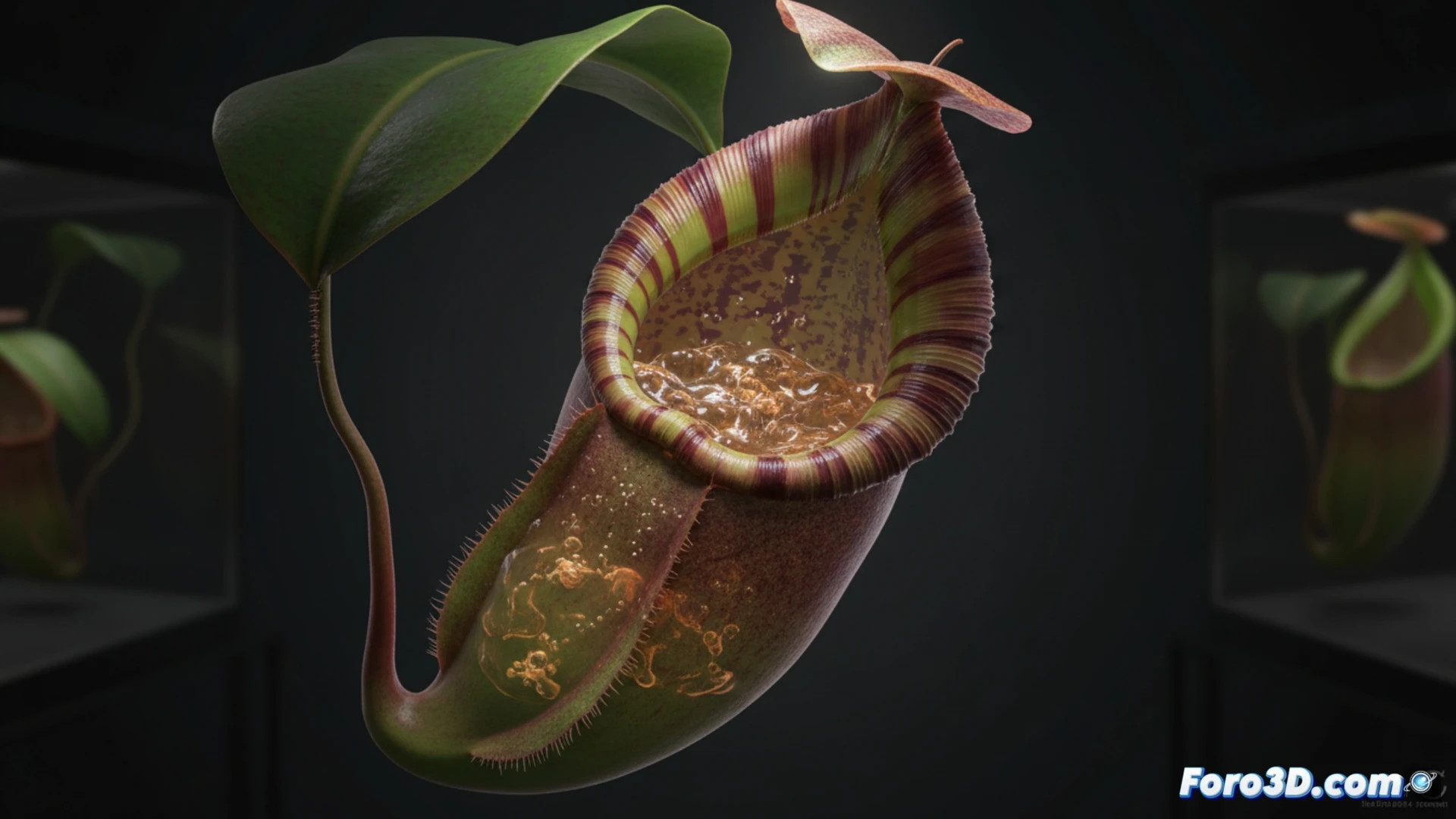 Modelado 3D científico de Nepenthes wallacei, jarro púrpura con peristoma detallado y fluido digestivo simulado