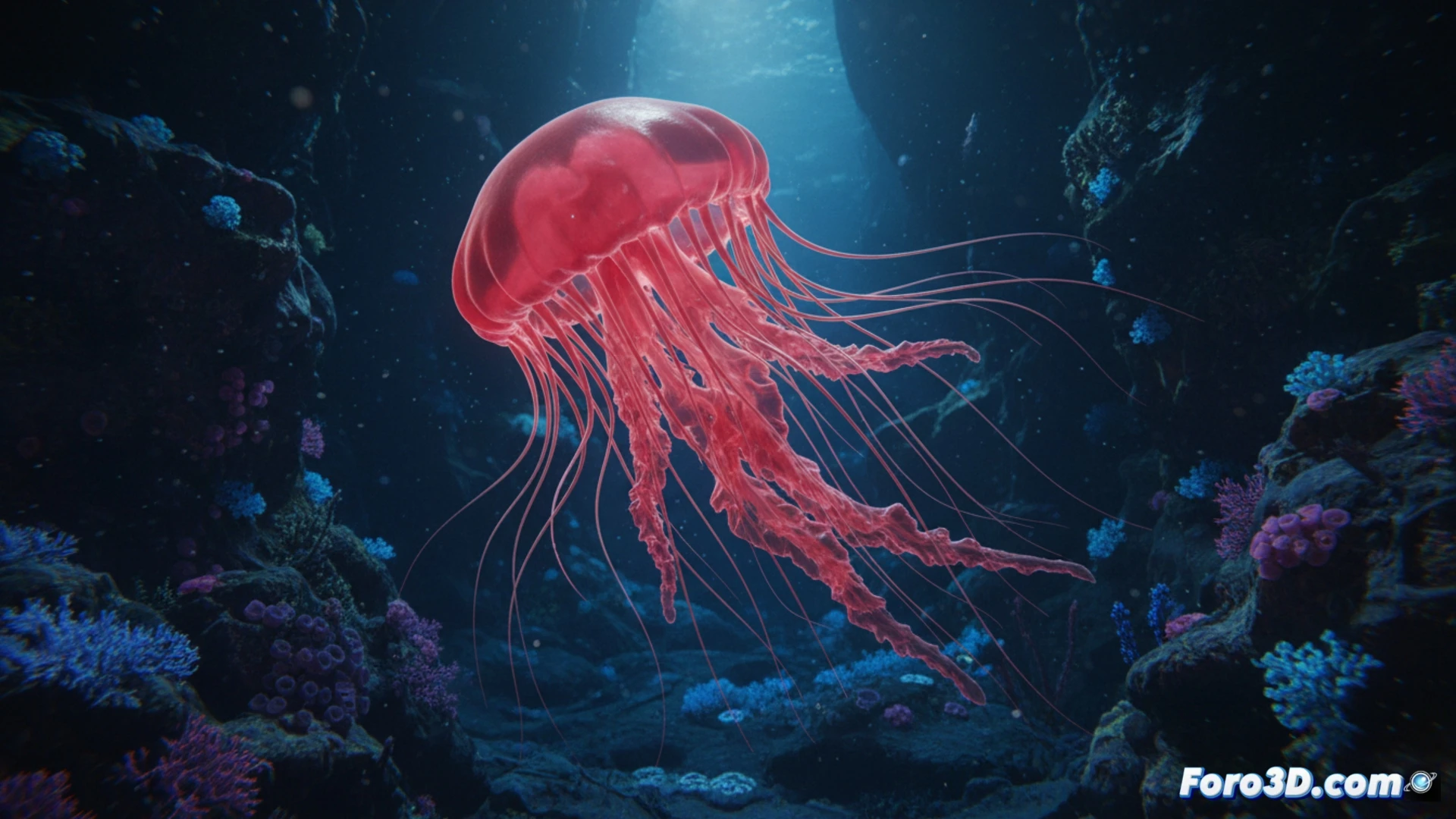 Medusa Poralia rufescens roja translúcida en aguas profundas del Atlántico, modelo 3D anatómico