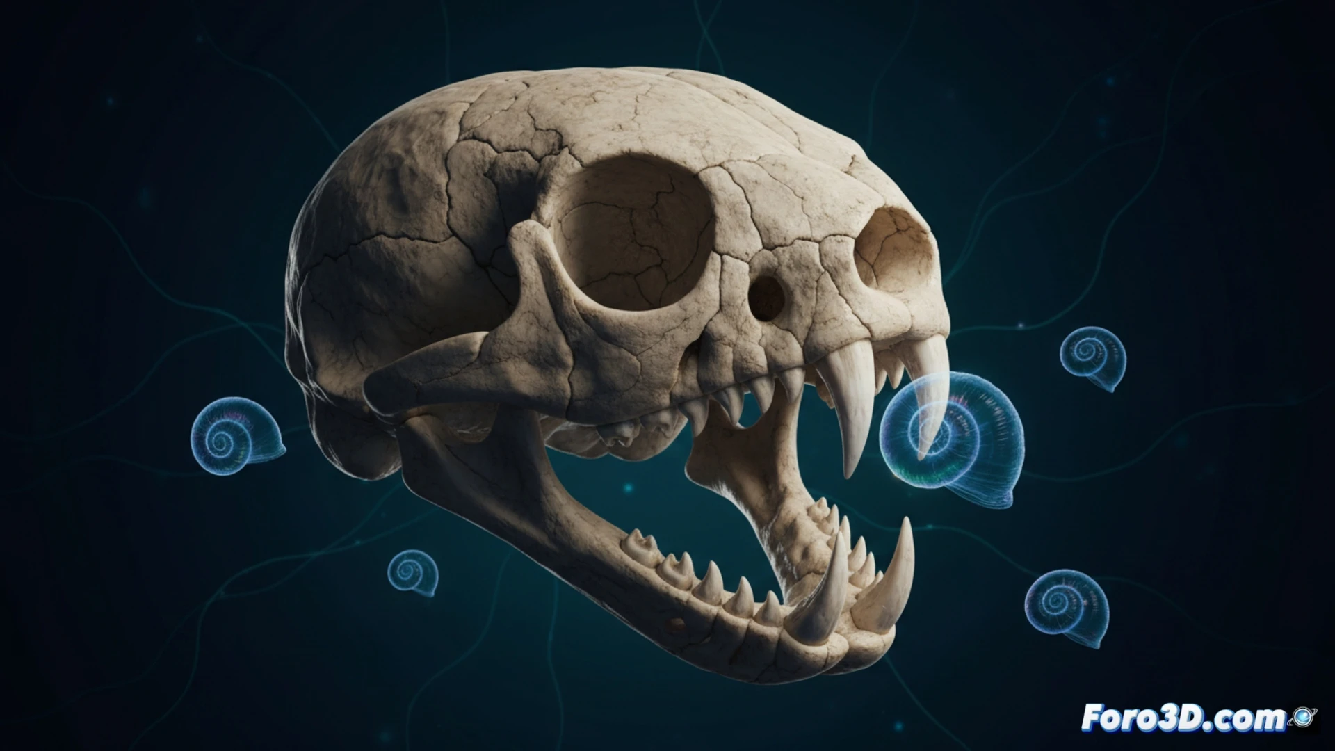 Modelo 3D del cráneo de la serpiente caracolera Sibon irmelindicaprioae, mostrando su mandíbula especializada para alimentarse de caracoles