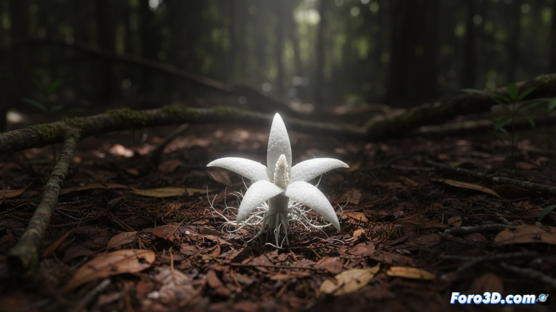 Modelo 3D detallado de Thismia sitaneia, orquídea blanca estrellada en sotobosque oscuro, visualización científica botánica