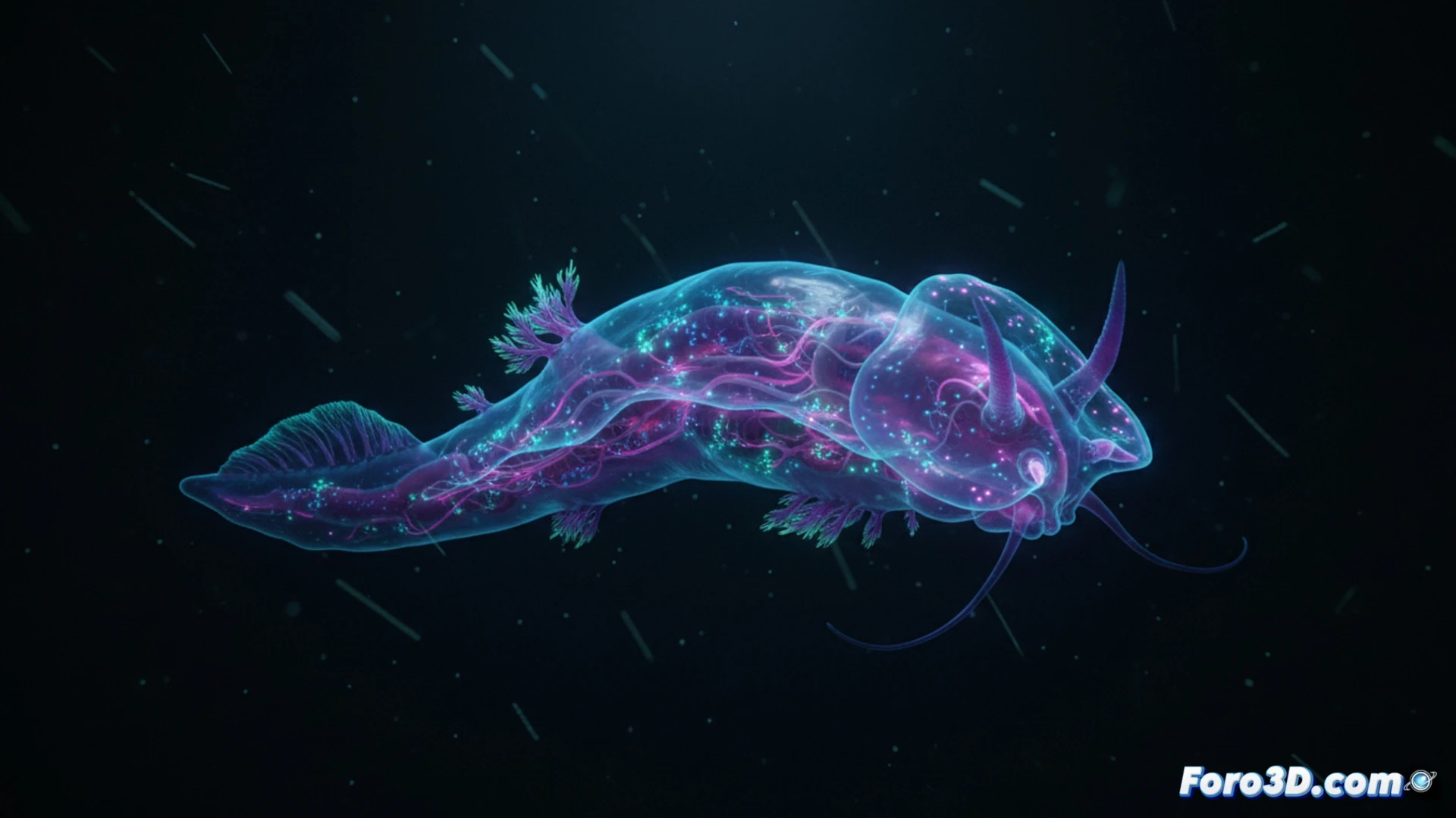 Modélisation tridimensionnelle du Bathydevius caudactylus : bioluminescence abyssale