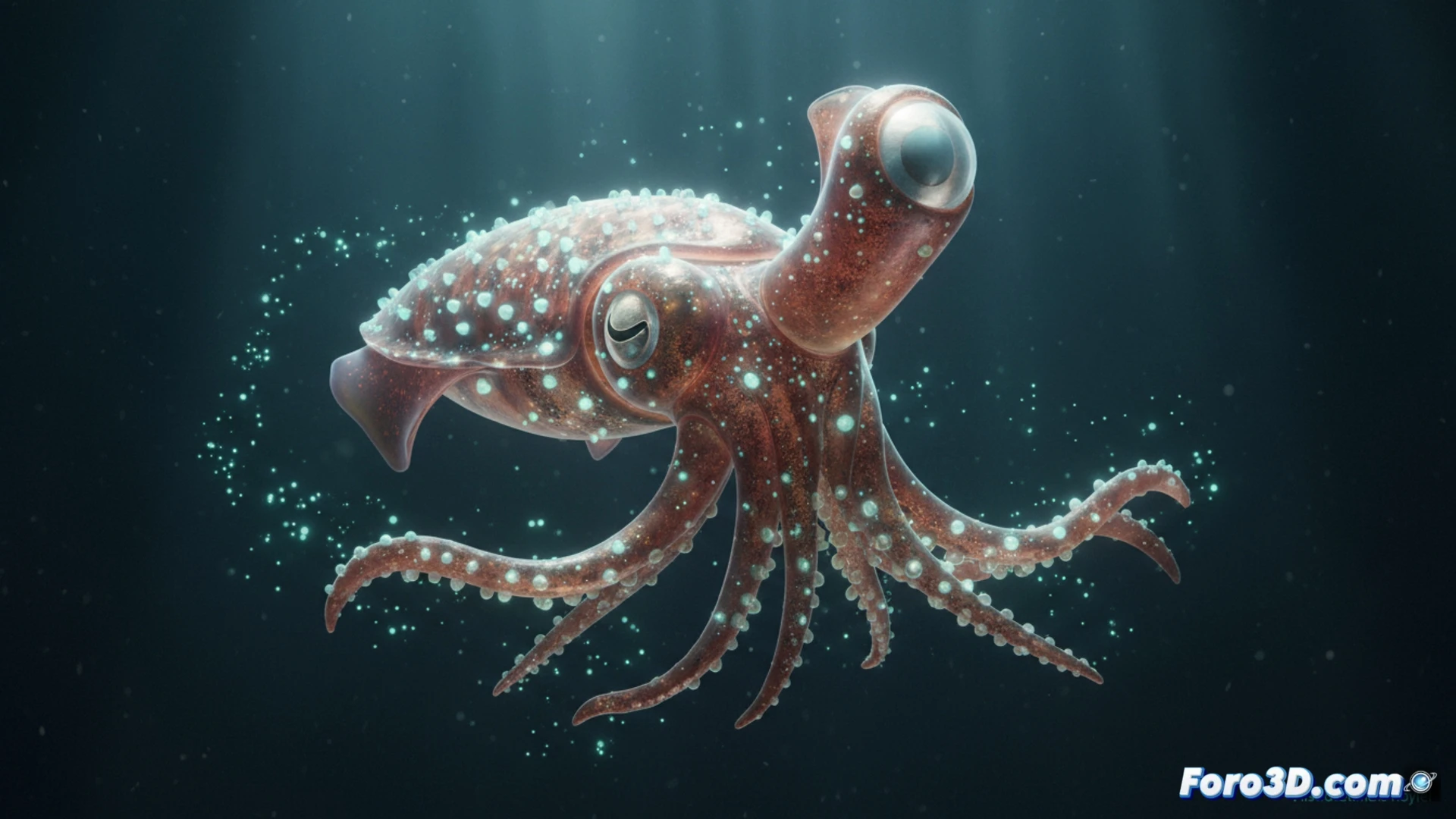 Modelo 3D calamar joya asimetría ocular fotóforos bioluminiscencia visualización científica marina