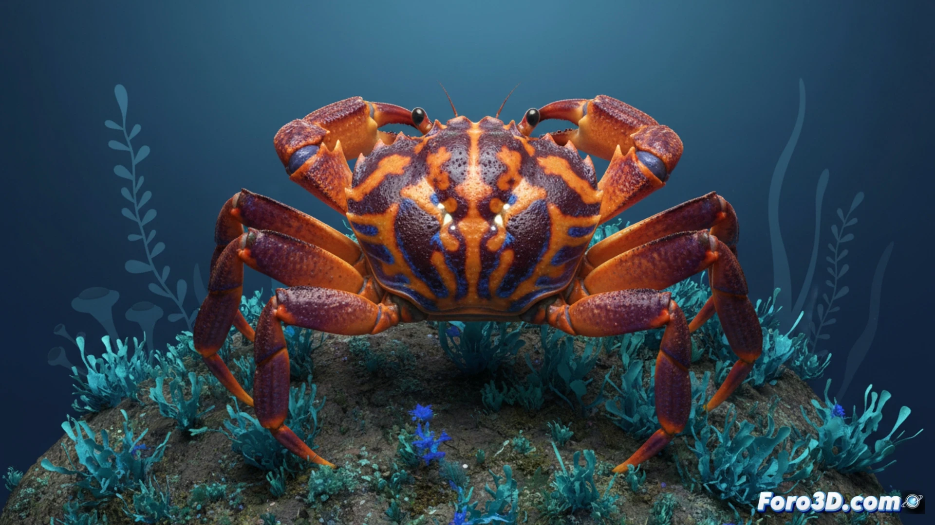 Modelo 3D del cangrejo tricolor Lepidothelphusa menneri mostrando su patrón naranja, azul y marrón para visualización científica.