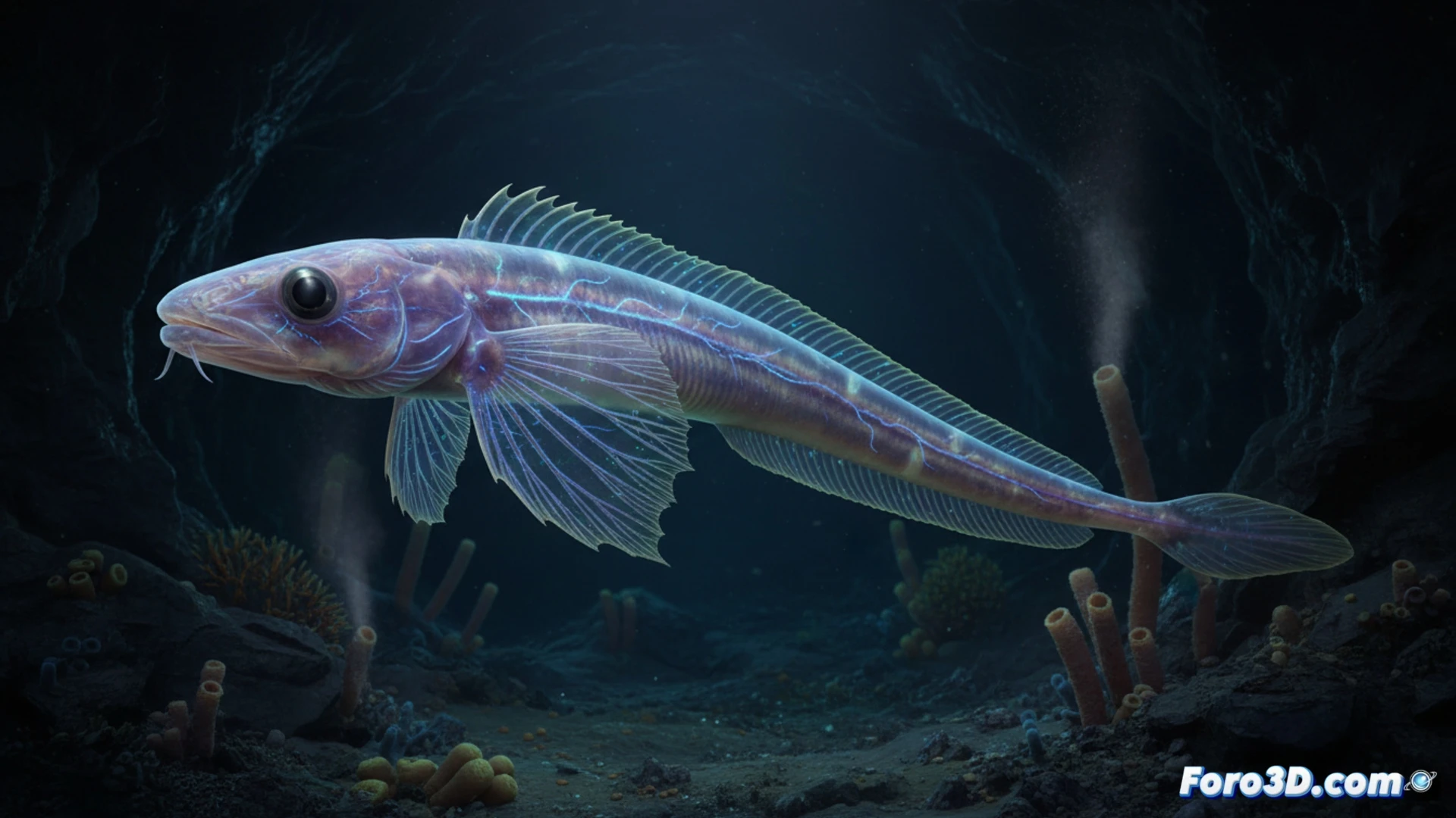 Modelado 3D del Eelpout del Bounty, nueva especie de pez abisal de la familia Zoarcidae descubierta en 2024