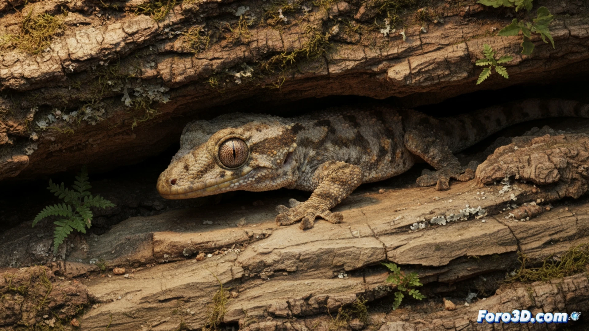 [Modelado 3D del geco críptico Hemidactylus mahonyi en su microhábitat de grietas rocosas en Satpura]