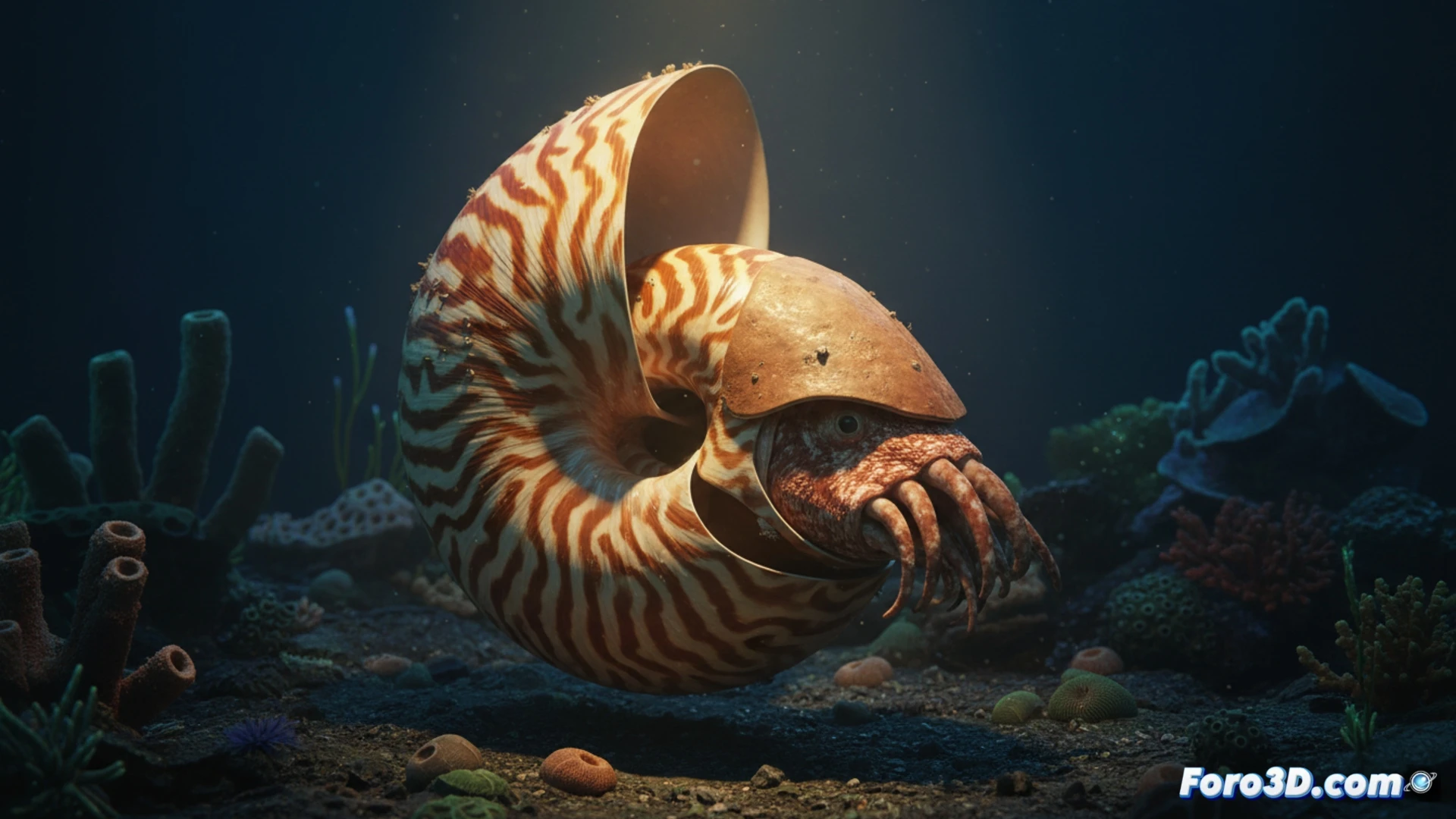 Nautilus samoaensis modelo 3D concha espiral detalle científico visualización fósil viviente