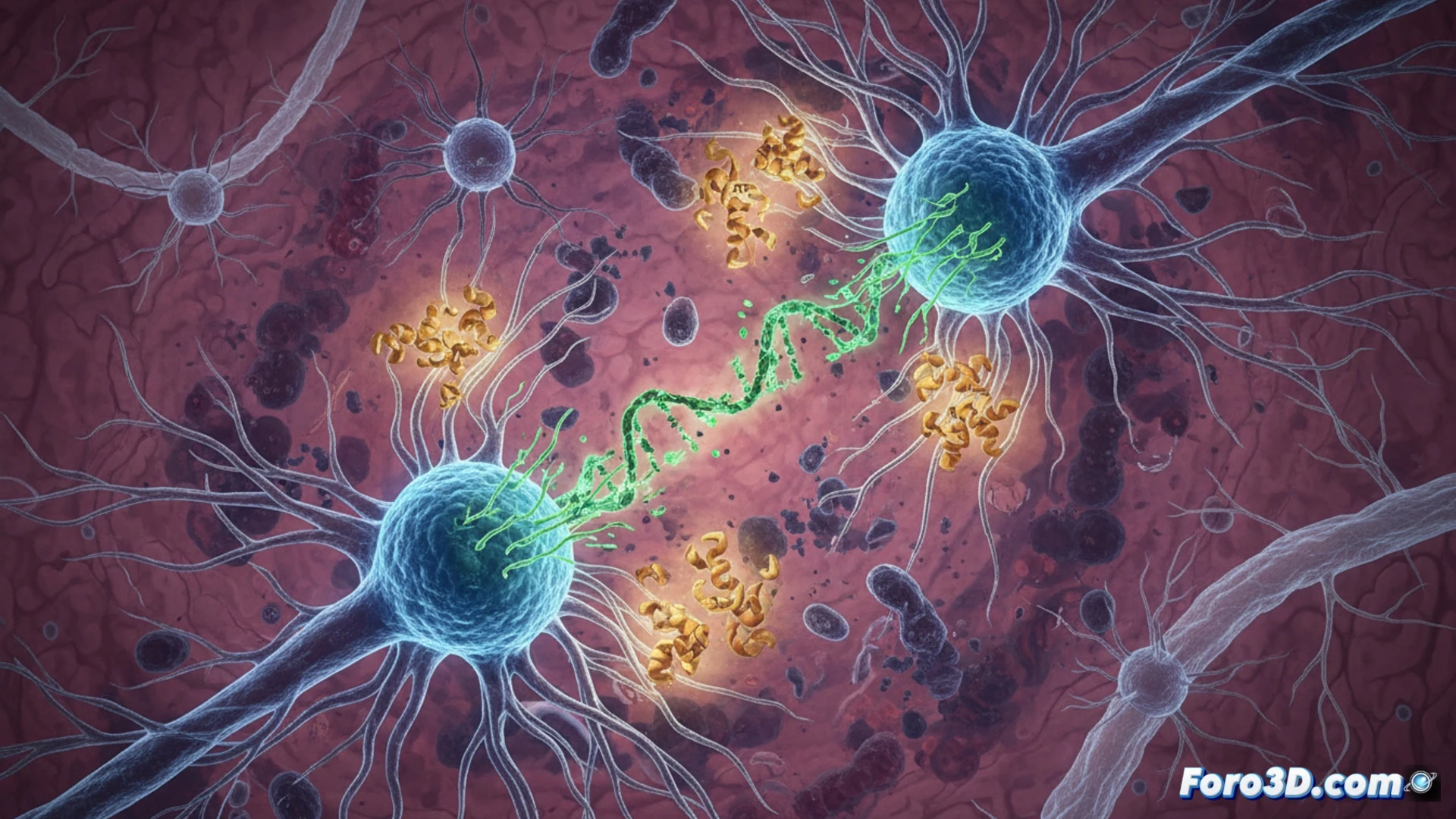 Dos neuronas CUX2 brillan entre fibras dañadas; una se divide rápido mientras la proteína ATF4 repara su ADN, pero el agotamiento acelera su muerte.