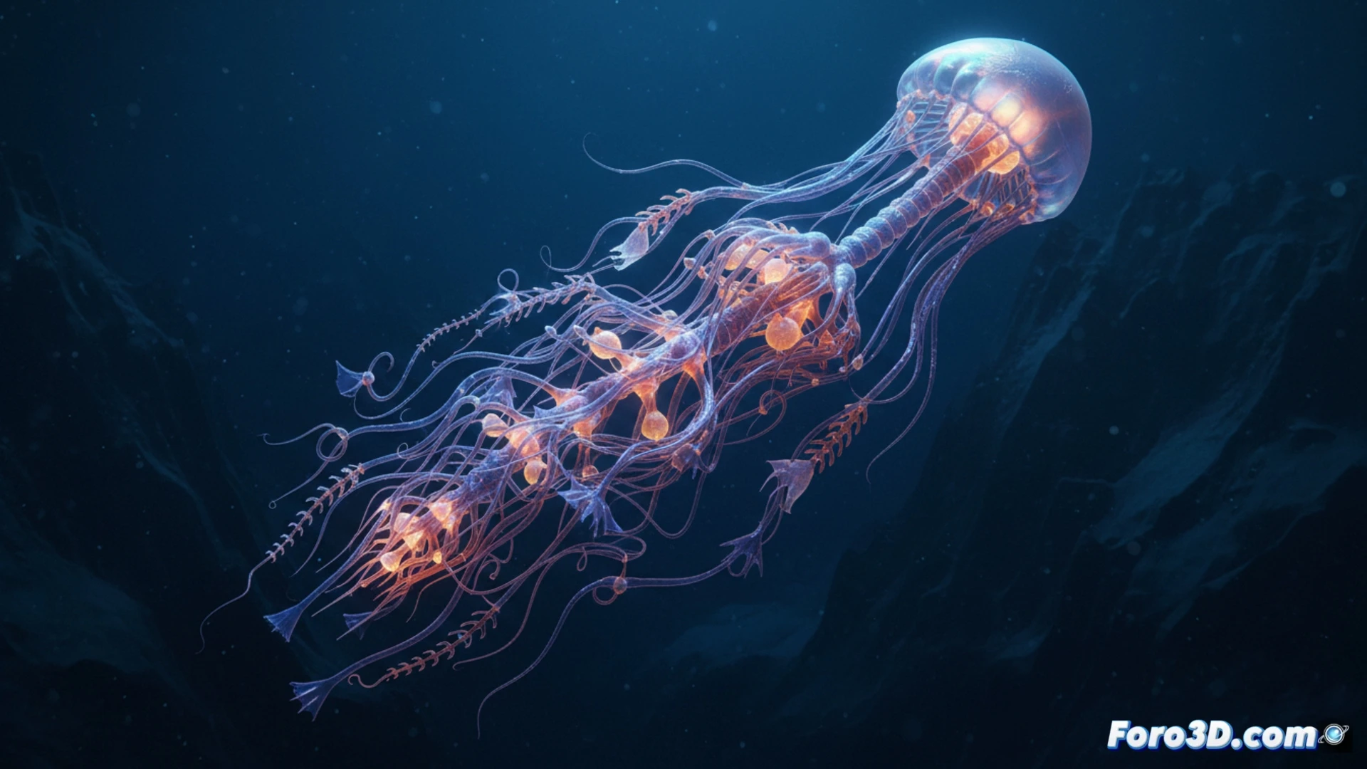 Siphonophore Bathyphysa sp : modélisation 3D dun monstre abyssal