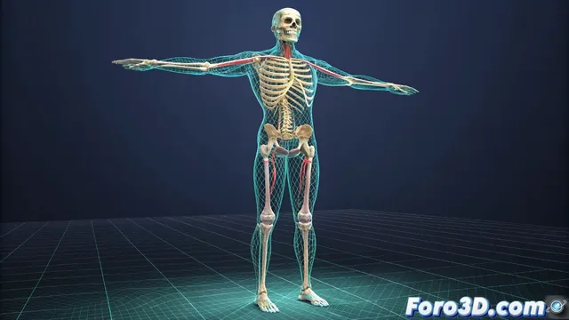 Guia esencial para crear rigs profesionales en modelos 3D