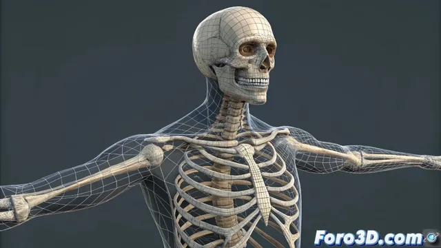 Solución a deformaciones al rotar huesos nuevos en rigs por piezas en Blender