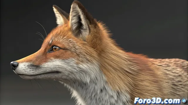 Solución definitiva a deformaciones en animaciones DAE