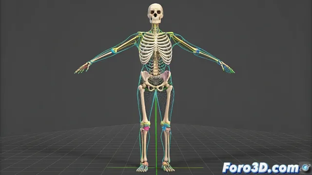 Solucionar problemas de Mirror Mode en 3ds Max cuando falla en piernas o partes inferiores