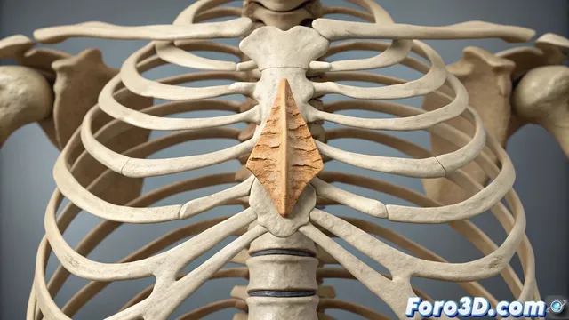 Reconstrucción 3D de un crimen ancestral