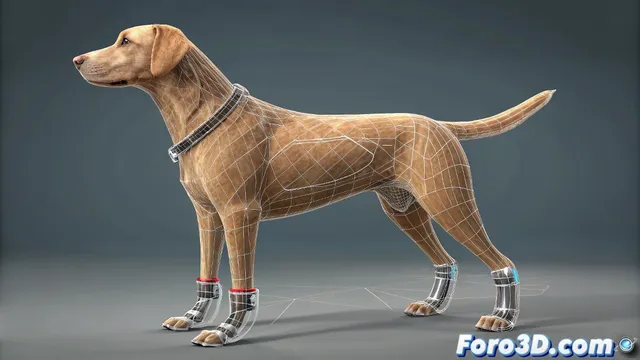 Rigging canino sin perder los tobillos en 3ds Max