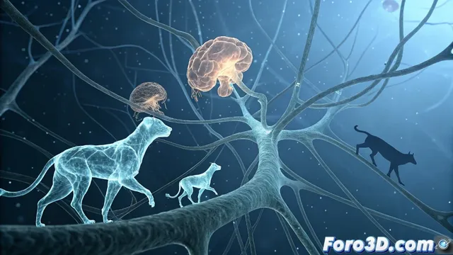 Interpretación de los animales en los sueños desde perspectivas simbólicas y científicas