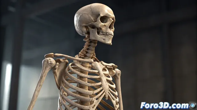 Diseño de esqueleto eficiente para animación 3D realista