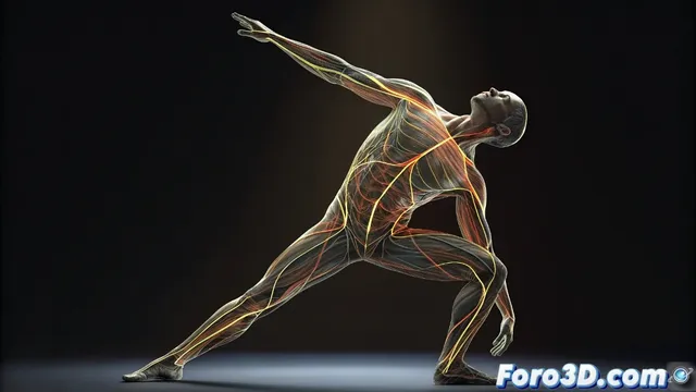 El método Reilly: ritmos anatómicos para dibujo gestual