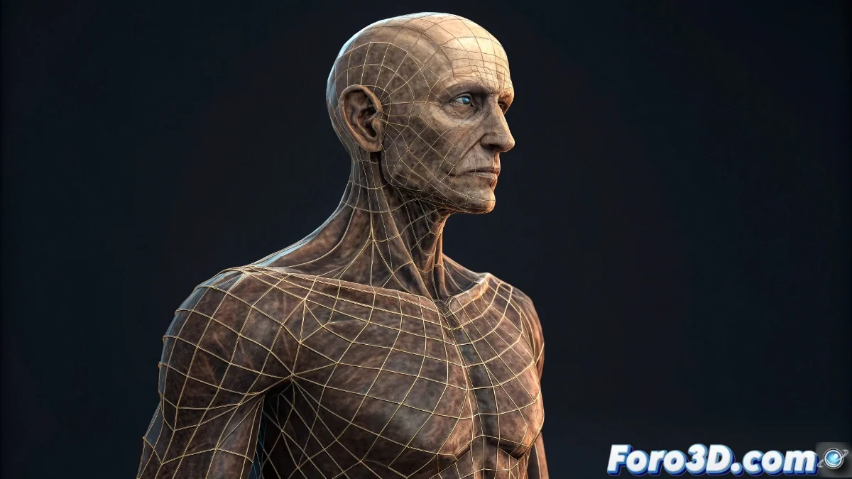 Vista en perspectiva 3D de un modelo humano con estructura ósea visible y herramientas de pintura de pesos activas en Blender 5.