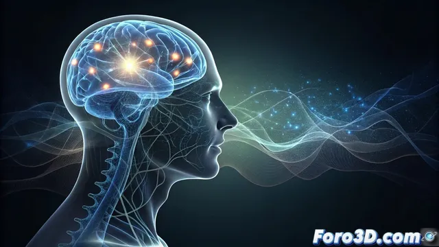 Sonogenética: controlar neuronas con ultrasonidos