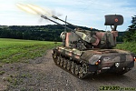 Clic en la imagen para ver su versión completa. 

Nombre: Gepard_in action.jpg 
Visitas: 708 
Tamaño: 1.17 MB 
ID: 102138