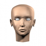 Clic en la imagen para ver su versión completa. 

Nombre: VFrontal.jpg 
Visitas: 640 
Tamaño: 35.8 KB 
ID: 102184