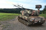 Clic en la imagen para ver su versión completa. 

Nombre: Gepard_in action_post.jpg 
Visitas: 120 
Tamaño: 1.30 MB 
ID: 102772