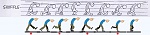 Clic en la imagen para ver su versión completa. 

Nombre: referencia2.jpg 
Visitas: 2008 
Tamaño: 68.5 KB 
ID: 103351